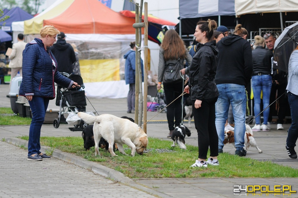 24opole.pl