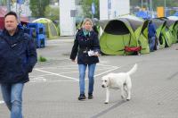 Międzynarodowa Wystawa Psów Rasowych 2019 - 8319_foto_24opole_143.jpg