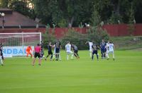 Odra Opole 1:0 Olimpia Grudziądz - 8501_foto_24opole_250.jpg