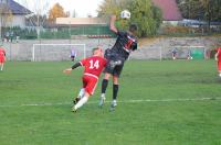 Wiking Rodło Opole 1:1 Start Jełowa - 8543_wiking_24opole_0115.jpg