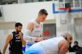Weegree AZS Politechnika Opolska 72-91 WKK Wrocław