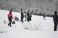 Opolanie ruszyli na sanki do parku na osiedlu Armii Krajowej  - 8573_zima_24opole_0002.jpg