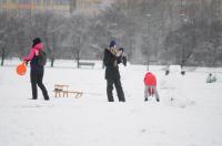 Opolanie ruszyli na sanki do parku na osiedlu Armii Krajowej  - 8573_zima_24opole_0014.jpg