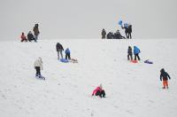 Opolanie ruszyli na sanki do parku na osiedlu Armii Krajowej  - 8573_zima_24opole_0025.jpg