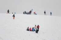 Opolanie ruszyli na sanki do parku na osiedlu Armii Krajowej  - 8573_zima_24opole_0042.jpg