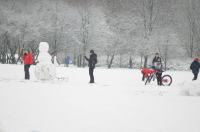 Opolanie ruszyli na sanki do parku na osiedlu Armii Krajowej  - 8573_zima_24opole_0062.jpg