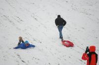 Opolanie ruszyli na sanki do parku na osiedlu Armii Krajowej  - 8573_zima_24opole_0065.jpg