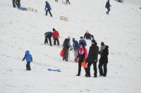 Opolanie ruszyli na sanki do parku na osiedlu Armii Krajowej  - 8573_zima_24opole_0070.jpg