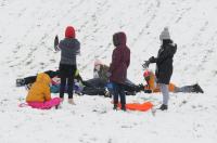 Opolanie ruszyli na sanki do parku na osiedlu Armii Krajowej  - 8573_zima_24opole_0115.jpg