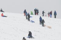 Opolanie ruszyli na sanki do parku na osiedlu Armii Krajowej  - 8573_zima_24opole_0129.jpg