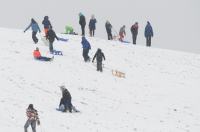 Opolanie ruszyli na sanki do parku na osiedlu Armii Krajowej  - 8573_zima_24opole_0132.jpg