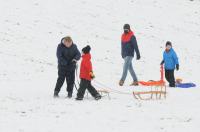 Opolanie ruszyli na sanki do parku na osiedlu Armii Krajowej  - 8573_zima_24opole_0138.jpg