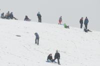 Opolanie ruszyli na sanki do parku na osiedlu Armii Krajowej  - 8573_zima_24opole_0140.jpg