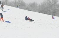 Opolanie ruszyli na sanki do parku na osiedlu Armii Krajowej  - 8573_zima_24opole_0145.jpg