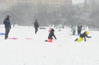 Opolanie ruszyli na sanki do parku na osiedlu Armii Krajowej  - 8573_zima_24opole_0150.jpg