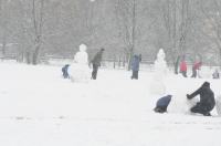 Opolanie ruszyli na sanki do parku na osiedlu Armii Krajowej  - 8573_zima_24opole_0152.jpg