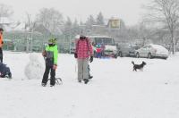 Opolanie ruszyli na sanki do parku na osiedlu Armii Krajowej  - 8573_zima_24opole_0172.jpg