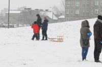 Opolanie ruszyli na sanki do parku na osiedlu Armii Krajowej  - 8573_zima_24opole_0175.jpg