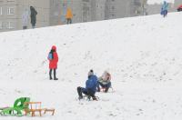 Opolanie ruszyli na sanki do parku na osiedlu Armii Krajowej  - 8573_zima_24opole_0176.jpg