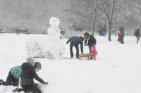 Opolanie ruszyli na sanki do parku na osiedlu Armii Krajowej  - 8573_zima_24opole_0202.jpg