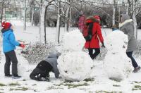 Opolanie ruszyli na sanki do parku na osiedlu Armii Krajowej  - 8573_zima_24opole_0219.jpg