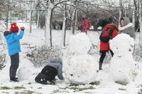 Opolanie ruszyli na sanki do parku na osiedlu Armii Krajowej  - 8573_zima_24opole_0221.jpg