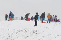 Opolanie ruszyli na sanki do parku na osiedlu Armii Krajowej  - 8573_zima_24opole_0242.jpg