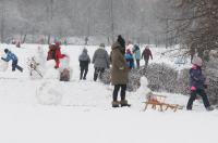 Opolanie ruszyli na sanki do parku na osiedlu Armii Krajowej  - 8573_zima_24opole_0249.jpg