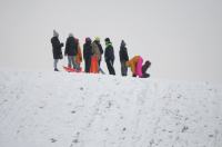 Opolanie ruszyli na sanki do parku na osiedlu Armii Krajowej  - 8573_zima_24opole_0252.jpg