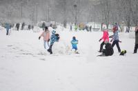 Opolanie ruszyli na sanki do parku na osiedlu Armii Krajowej  - 8573_zima_24opole_0263.jpg