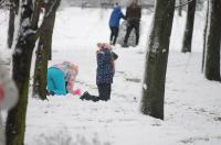 Opolanie ruszyli na sanki do parku na osiedlu Armii Krajowej  - 8573_zima_24opole_0280.jpg