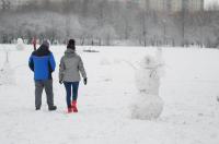 Opolanie ruszyli na sanki do parku na osiedlu Armii Krajowej  - 8573_zima_24opole_0282.jpg