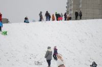 Opolanie ruszyli na sanki do parku na osiedlu Armii Krajowej  - 8573_zima_24opole_0284.jpg