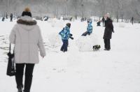 Opolanie ruszyli na sanki do parku na osiedlu Armii Krajowej  - 8573_zima_24opole_0287.jpg