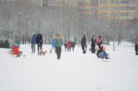 Opolanie ruszyli na sanki do parku na osiedlu Armii Krajowej  - 8573_zima_24opole_0290.jpg