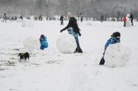 Opolanie ruszyli na sanki do parku na osiedlu Armii Krajowej  - 8573_zima_24opole_0292.jpg