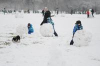 Opolanie ruszyli na sanki do parku na osiedlu Armii Krajowej  - 8573_zima_24opole_0293.jpg