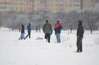 Opolanie ruszyli na sanki do parku na osiedlu Armii Krajowej  - 8573_zima_24opole_0295.jpg
