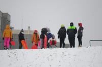 Opolanie ruszyli na sanki do parku na osiedlu Armii Krajowej  - 8573_zima_24opole_0297.jpg