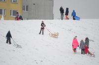 Opolanie ruszyli na sanki do parku na osiedlu Armii Krajowej  - 8573_zima_24opole_0301.jpg