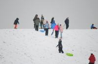 Opolanie ruszyli na sanki do parku na osiedlu Armii Krajowej  - 8573_zima_24opole_0309.jpg