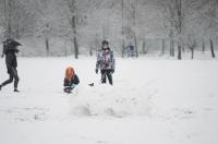 Opolanie ruszyli na sanki do parku na osiedlu Armii Krajowej  - 8573_zima_24opole_0341.jpg