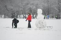 Opolanie ruszyli na sanki do parku na osiedlu Armii Krajowej  - 8573_zima_24opole_0343.jpg