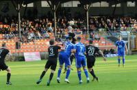 Ruch Zdzieszowice 4:0 Małapanew Ozimek - Finał Wojewódzkiego Pucharu Polski - 8634_foto_24opole_0169.jpg