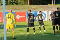 Odra Opole 0:0 Widzew Łódź - 8685_odra_widzew_24opole_0104.jpg