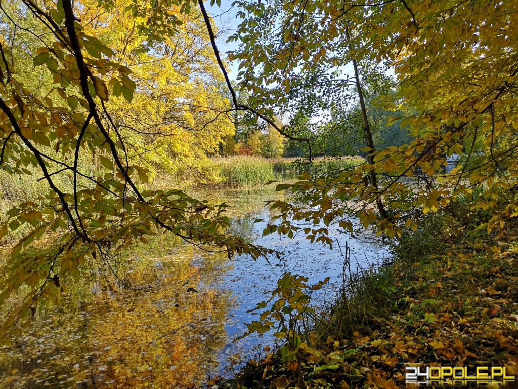 24opole.pl