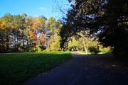 Park na Wyspie Bolko w Jesiennej Odsłonie