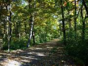 Park na Wyspie Bolko w Jesiennej Odsłonie