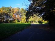 Park na Wyspie Bolko w Jesiennej Odsłonie