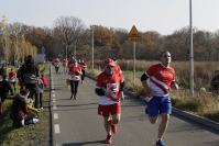 Opolski Bieg Wolności - 8728_foto_24opole_0147.jpg